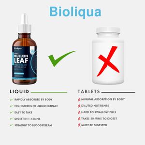 Balance Mullein Leaf Drops 60ml – Herbal Respiratory Support