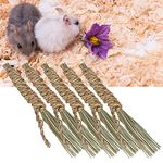 Small Animal Chew Toys, 5Pcs Natural Seagrass Chew Toys for Squirrel Rabbits Guinea Pigs Chinchilla Hamster(Small Aquatic Rope bite Stick)