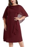 Hanna Nikole Mother of The Bride Dresses for Wedding Sleeveless Ruffles Party Dress mit Overlay Dark Red 16 Plus