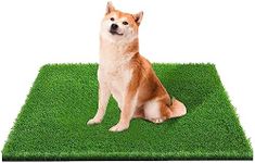 Artificial Grass, Professional Dog 