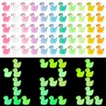 Yimomoyi Mini Resin Ducks 121 Pack, Colorful Luminous Tiny Ducks, Mini Ducks Glow in the Dark Ducks, Cute Miniature Toy Little Ducks for Aquariums,Garden Landscapes Decoration etc(11 Colors)