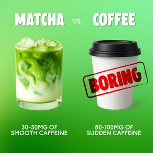 PerfectTed Organic Matcha Powder 30g – Premium Japanese Green Tea
