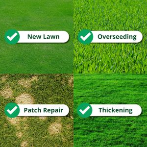 A1 Lawn Grass Seed, 5kg – Premium Quality for Lush Lawns