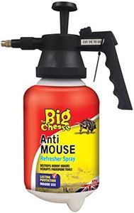 The Big Ch