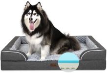 Casa Paw Memory Foam XXL Dog Bed wi