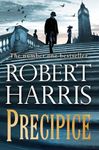 Precipice: The thrilling new novel 