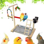 VolksRose Bird Playground Parrot Play Stand, Pet Bird Activity Stand Wood Perch Gym with Ladder Tray and Feeder Cups, Parakeet Cockatiel Birdcage Cage Nest Accessories Exercise Platform Toy