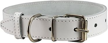 Genuine Leather Dog Collar White 4 Sizes (14"-17.5" Neck; 1" Wide)