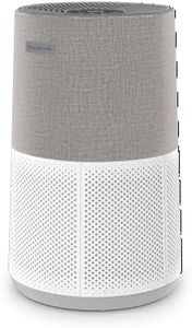 Rowenta Purificateur d'air, Filtration Hepa à 360°, Intelligent et connecté, Silencieux, Compact et léger, Contrôle Vocal Alexa et Google, Pure Air City, Blanc/Gris PU2840F0