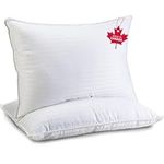 Pillows Queen Size 2 Pack - Premium Down Alternative Made in Canada Hotel Pillows - Bed Pillows for Stomach, Back and Side Sleeper - Supportive and Firm Pillows