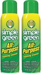 Simple Green All-Purpose Foaming Ae