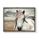 Horse Framed Picture Wall Art: Vint