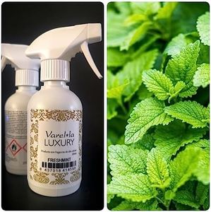 T.DRYER FRESH Ambientador Superconcentrado de Lujo 250ml Tipo Freshmint (Hierba buena/Anti Mosquitos). /Ambientador de hogar/Perfume para casa / 3-4 pulverizaciones 24H. / Alta perfumeria