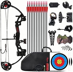 Lanneret Compound Bow and Archery Sets - Right Hand Archery Compound Bows 15-29 lbs Draw Weight Adjustable for Youth and Beginners，Hunting Bow Kit for Beginner