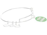 Alex and Ani Words Are Powerful Today Is Sublime Bracelet, One Size, Brass