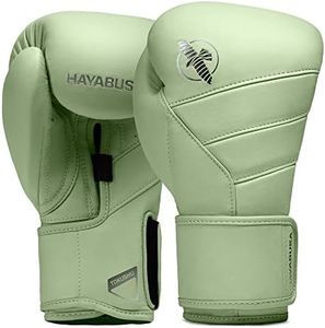 Hayabusa T