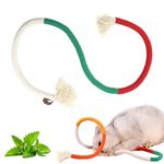 YANGCHUN Catnip Toy Bite Rope, Interactive Cat Toy for Indoor Cats, Kitten Teething Chew Toy Rope, Filled Natural Catnip Cat Chew Teeth Cleaning Stress Release Catnip Cotton Rope Toy-Green