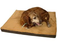 Armarkat Memory Foam Dog Beds