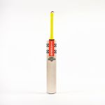 Gray Nicolls Tempesta 1.0 Warrior Junior Kashmir Willow Cricket Bat - New for 2024 (6)