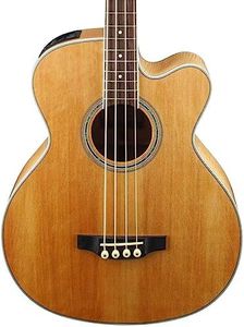 Takamine G