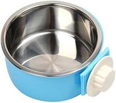 Dog Bowl F