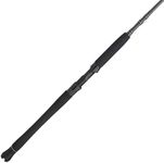 PENN Carnage III Inshore Spinning F