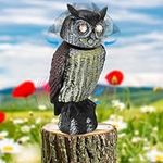 Solar Powered Fake Owl Animal Decoy