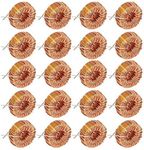 Walfront 20 pcs Toroid Inductor Kit Small Size Inductance Copper Coil 5026 330UH 3A for Transformers DIY Circuit Board, Electronic Components