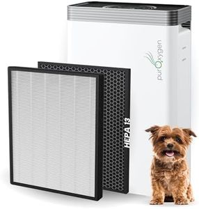 P500i Air Purifier with H13 HEPA Filter, WiFi Control, Child Lock, for Large Rooms up to 2700 sq ft, Removes Pet Dander, Dust, Indoor Pollutants