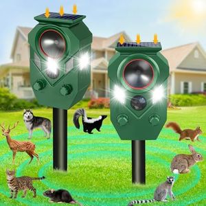 Solar Anim