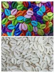 Modern Cowrie Shells Stone Packet, Set of 200 Kodi for Decoration, 100 White and 100 Assorted Colours