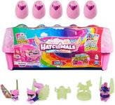 Hatchimals CollEGGtibles, Rainbow-cation Wolf Family Carton with Surprise Playset, 10 Characters, 2 Accessories, Kids Toys for Girls