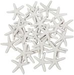 LJY 25 Pieces White Resin Pencil Finger Starfish for Wedding Decor, Home Decor and Craft Project, 2.3 Inches