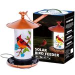 XDW-GIFTS Orchid Solar Bird Feeder, Waterproof Lantern with Hook & 4 LED Lights, Garden Decor for Lawn, Patio, Balcony, Yard Ornament - Unique Gifts for Mom,Women,Grandma,Bird Lovers