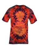 Ezhippie Men's Tie Dye T-Shirt, 11, L