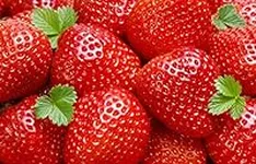 25 Sweet Charlie Strawberry Plants 