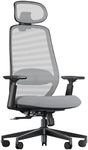ProtoArc EC200 Ergonomic Office Chair - High Back Computer Desk Chair with 2-Way Adjustable Lumbar Support, Seat Depth & 3D Headrest, Mesh Swivel Desk Chair for Home & Office, Grey