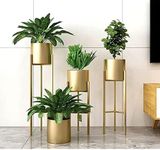 Indoor Plant Stands