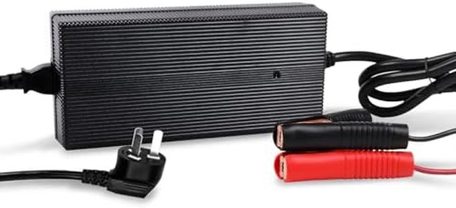 Renogy 20A 240V AC-to-DC LiFePO4 Lithium Iron Portable Battery Charger