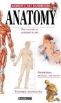 Anatomy (Barron's Art Handbooks)