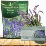 Outsidepride Blue Sage Seeds - 5000 Pcs Perennial, Drought-Tolerant & Deer-Resistant Wildflower Seeds w/Fragrant Blooms for Pollinator Attractant for Butterfly & Hummingbird Gardens & Landscaping