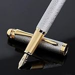 BOCIYER fancy fountain pen set,Luxury Fine Nib,Includes 10 Ink Cartridges&Ink Converter,Best Pen Gift Case for Men & Women,Nice office writing Pens(Silver)