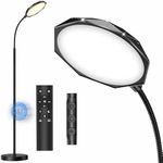 Anyuainiya Floor Lamp, 18W Bright LED Floor Lamp for Living Room with Diamond-Surface, Stepless Adjustable Colors & Dimmer Standing Lamp, Remote & Touch Control, Reading Lights for Bedroom, Office