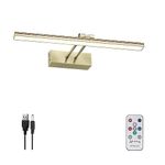 FUNCHDAY Wierelss Picture Light,13inch Picture Light Battery Operated,Remote Painting Light with Timer and Dimmable,Metal Art Light for Display,Wall,Artwork,Portrait,Gallery (Antique Brass)