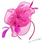 DRESHOW Fascinators Hat Tea Party Headwear Ribbons Feathers on a Headband and a Clip for Girls and Women