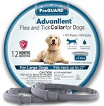 Advanllent Flea Collar for Dogs, Fl