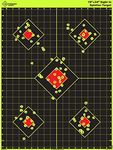 Splatterburst Targets - 18 x 24 inc