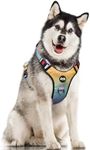 LED Dog Harness, Lighted Up Dog Harness, No-Pull Dog Harness with 2 Leash Clips, Adjustable Soft Padded Dog Vest, Reflective No-Choke Pet Oxford Vest with Easy Control Handle (Rainbow, Extra Large)