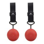 FITactic Rock Climbing Solid Training Cannonball Bomb Pull Up Power Ball Hold Grips for Straps for Finger, Forearm, Biceps, Back Muscles (Red, 3.5")