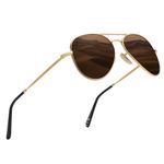 KINGSEVEN Classic Polarized Sunglasses for Women Men Driving Fishing Sun Glasses UV Protection LS17-A1 (LS17-A1Gold brown)